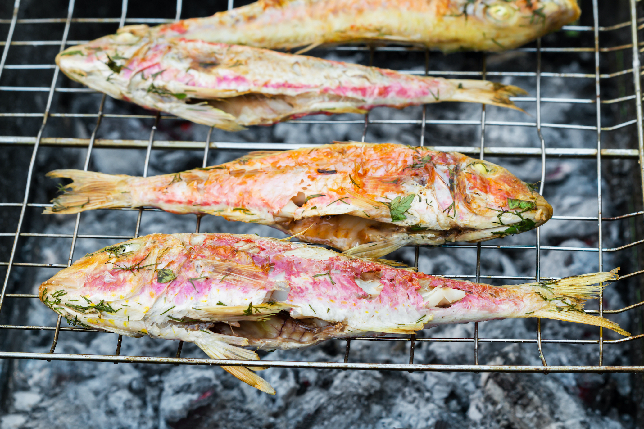 Lo petamos con el espeto de sardinas
